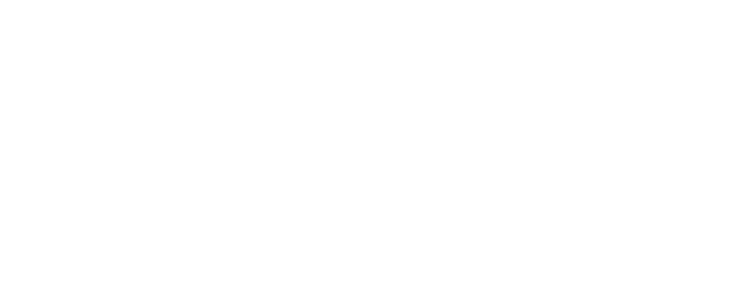 logo balzarotti